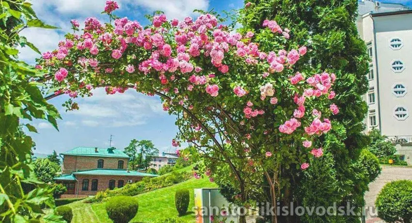 Санаторий Кругозор Кисловодск