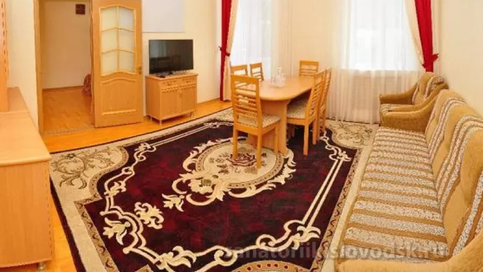Санаторий Нарзан Номер Люкс, корпус 1 (Л2м2к1)
