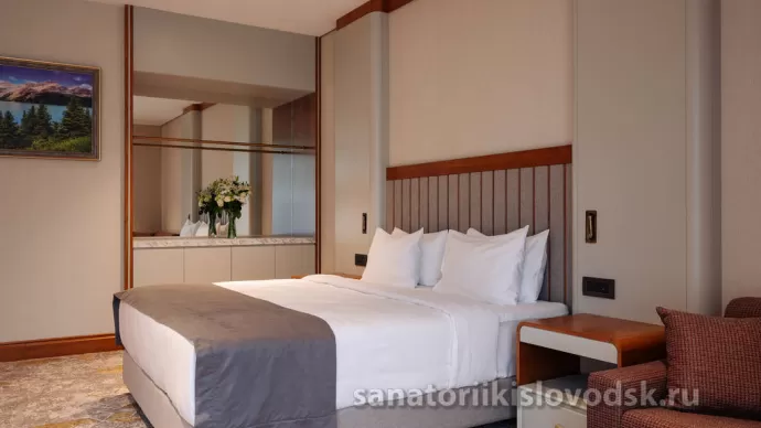Санаторий Источник Кисловодск. 2 местный 1 комнатный Делюкс (50 м²)