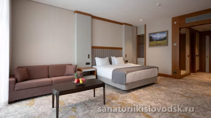 Санаторий Источник Кисловодск. 2 местный 1 комнатный Супериор (42 м²)